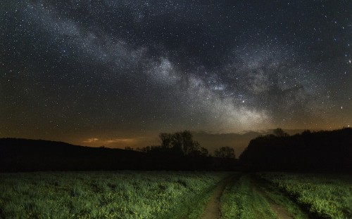 Image green grass field under starry night