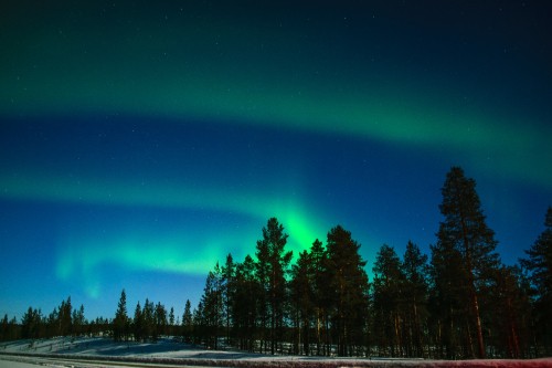 Image Rovaniemi, aurora, nature, tree, green