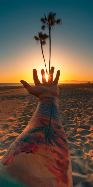 Strand, Los Angeles, Sonnenuntergang, Wasser, Tattoo. Wallpaper in 3000x6000 Resolution