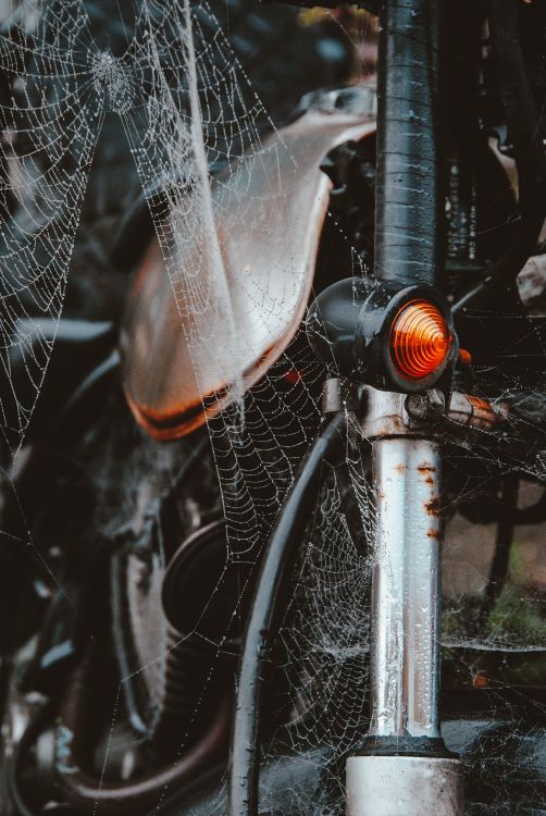 Spider Web on Bicycle Wheel. Wallpaper in 2464x3681 Resolution