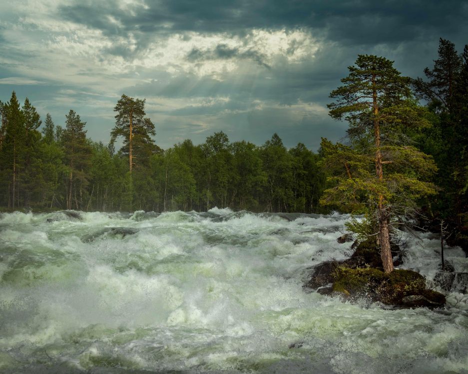 Natur, Norwegen, Cloud, Wasser, Baum. Wallpaper in 5000x4000 Resolution