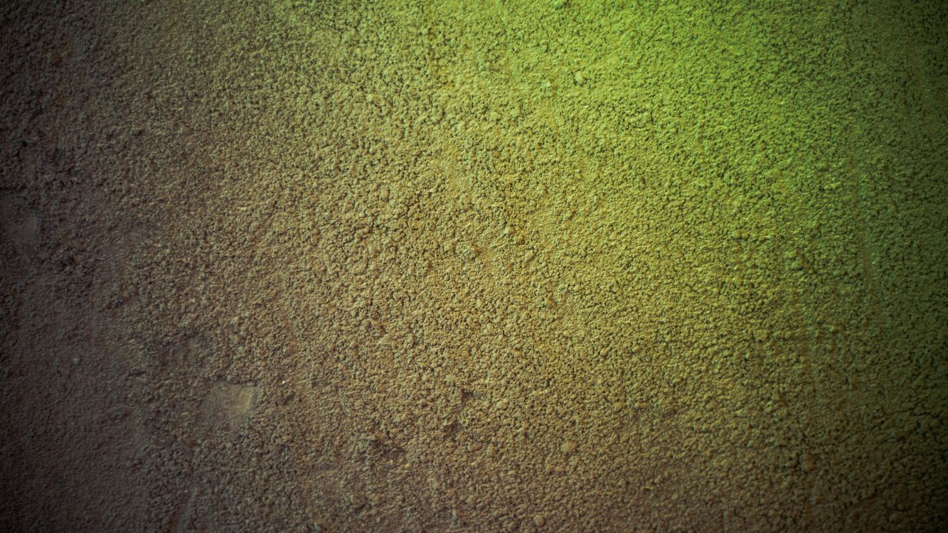 Grünes Textil Auf Braunem Betonboden. Wallpaper in 2560x1440 Resolution