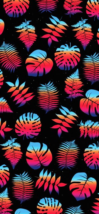 Lumière, Arts Visuels, Graphisme, Biologie Marine, Dessin. Wallpaper in 1080x2340 Resolution