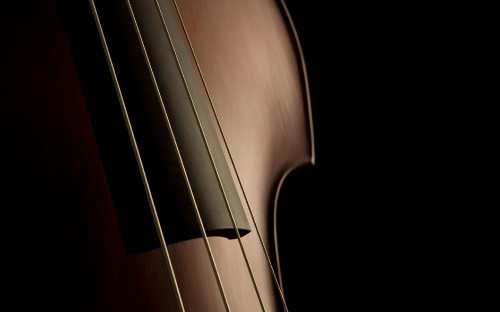 Image double bass, cello, bass guitar, violin, string instrument