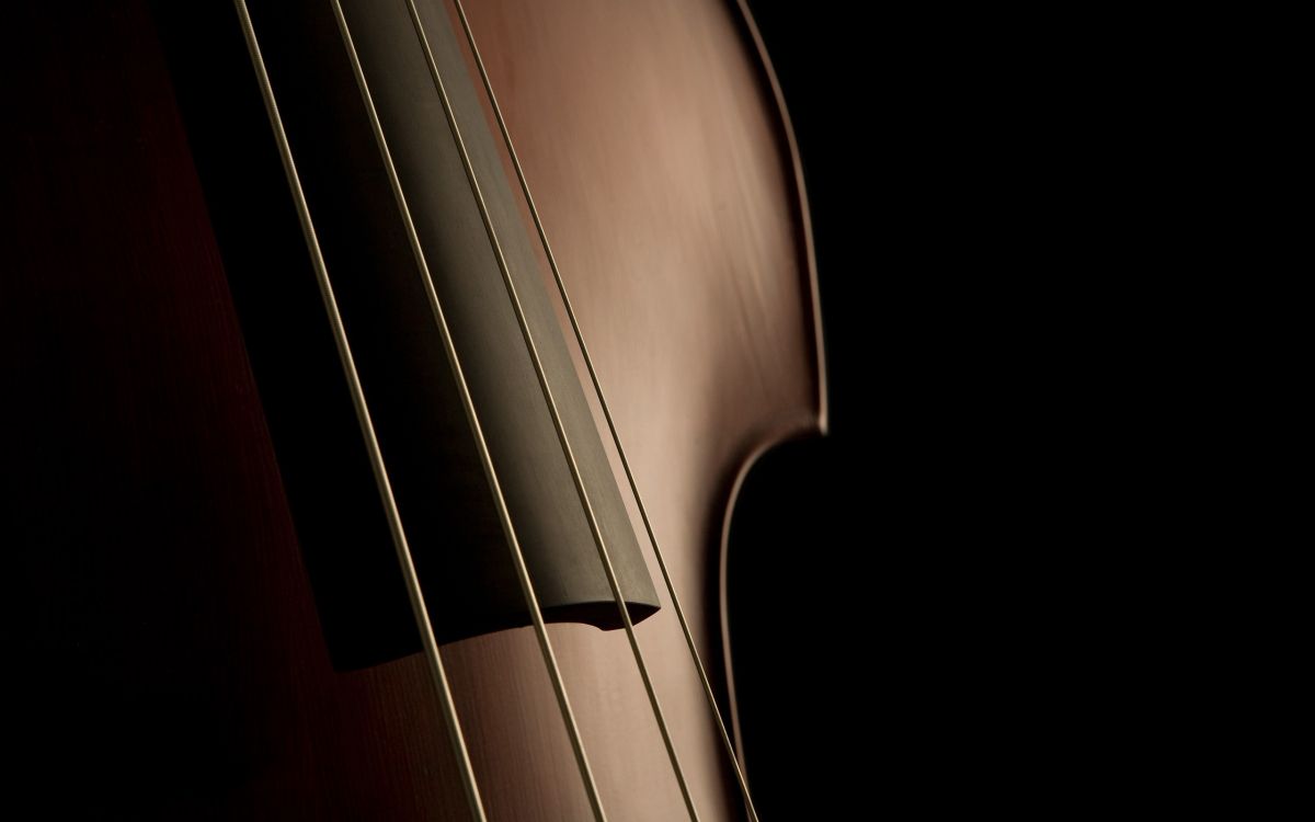 Kontrabass, Cello, Bass, Streichinstrument, Violine Familie. Wallpaper in 2560x1600 Resolution