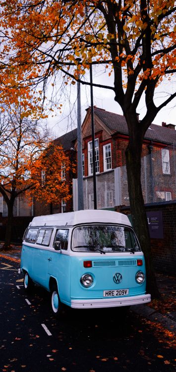 Baum, Panbers, Meine Liebe, Tire, Car. Wallpaper in 1420x3000 Resolution