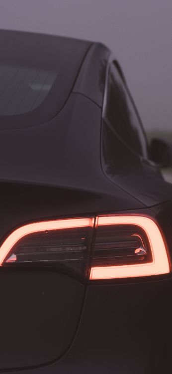 Tesla Model 3, Tesla, Roi, Tesla Model Y, Voiture Électrique. Wallpaper in 1242x2688 Resolution