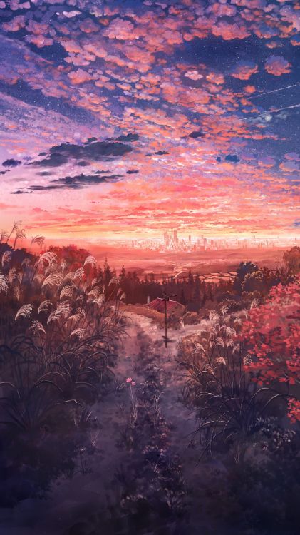 Arte Animado, Arte, Ilustración, Dibujo, Anime. Wallpaper in 1440x2560 Resolution