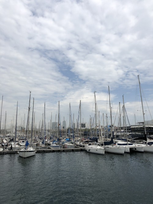 Image marina, water, Sail, boat, sailboat