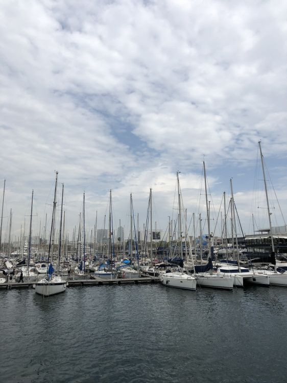 marina, water, Sail, boat, sailboat