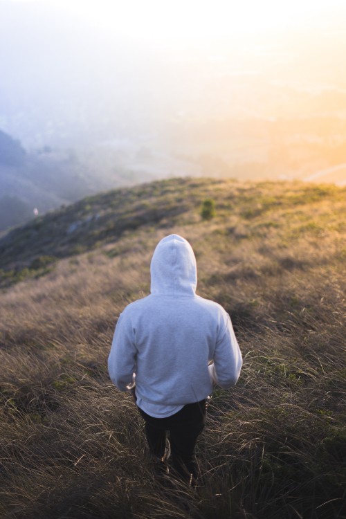 Image person in gray hoodie standing on green grass field during daytime