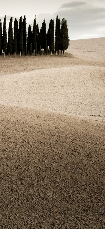 Image Apple MacBook Pro, macbook air, iMac, apples, cloud