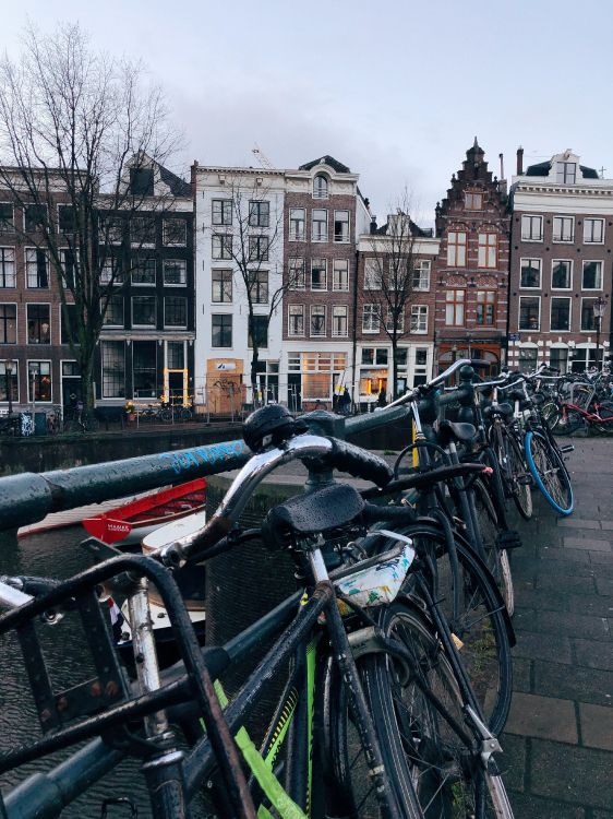 Amsterdam, Vélo de Route, Vélo Hybride, Roi, Vélo. Wallpaper in 3024x4032 Resolution