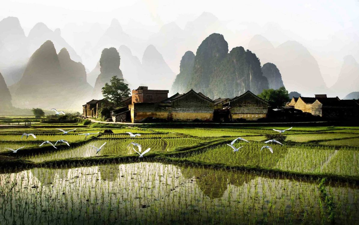 Tagsüber Grüne Wiese in Der Nähe Des Berges. Wallpaper in 2904x1821 Resolution