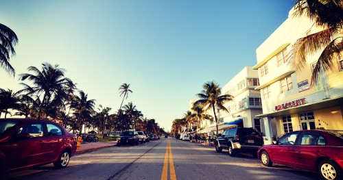 Image black car on road near palm trees during daytime