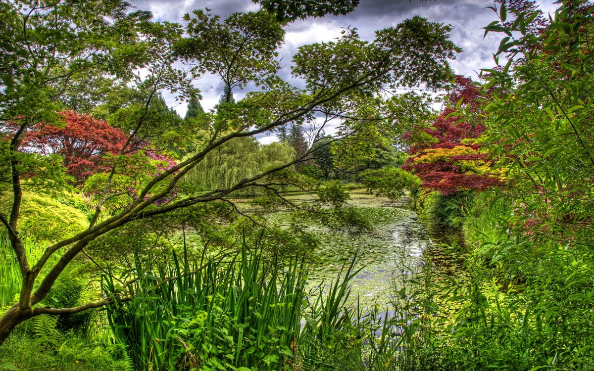 Herbe Verte et Arbres au Bord de la Rivière Sous Des Nuages Blancs et un Ciel Bleu Pendant la Journée. Wallpaper in 2560x1600 Resolution