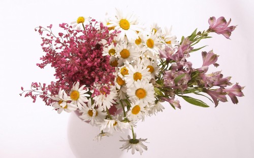 Image white and pink flowers on white ceramic vase