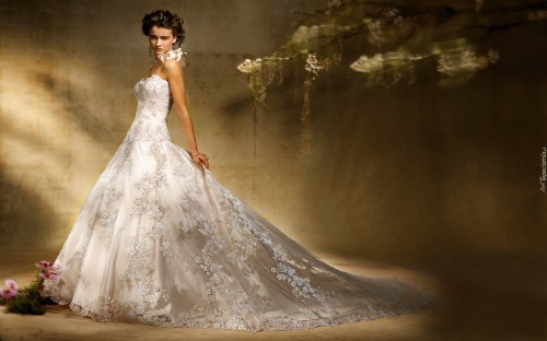 Image wedding dress, wedding, dress, clothing, gown