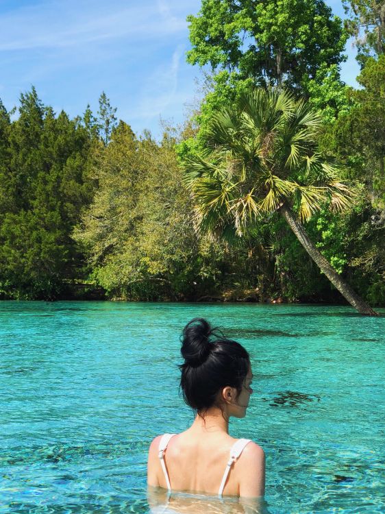 Wasser, Lagune, Meer, Natur, Tropics. Wallpaper in 2706x3609 Resolution