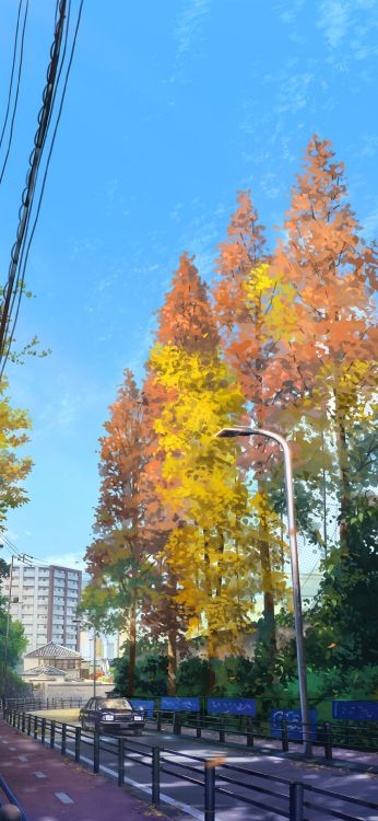 Ilustración, Naturaleza, Sucursal, Alerce, Paisaje Natural. Wallpaper in 1080x2340 Resolution