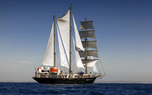 Image brown and white sail boat on sea during daytime