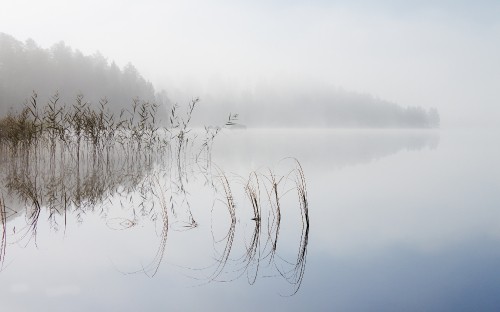 Image landscape, tablet, water, water resources, plant