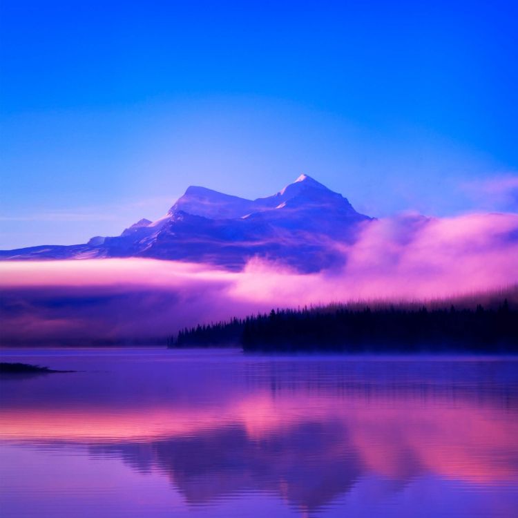 Huawei, Honor Magic 2, Ehre Magic2, Smartphone, Huawei Ehre 8x. Wallpaper in 2340x2340 Resolution