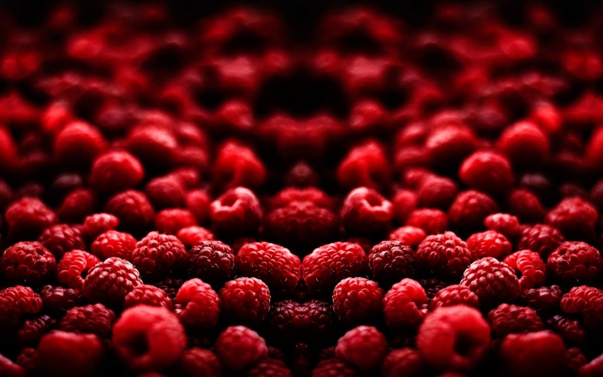 red heart shaped petals on white background