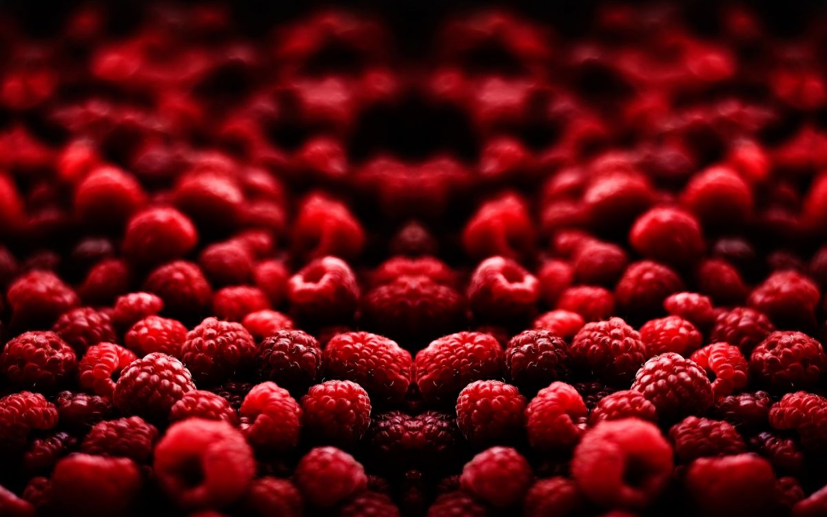 Pétales en Forme de Coeur Rouge Sur Fond Blanc. Wallpaper in 2560x1600 Resolution