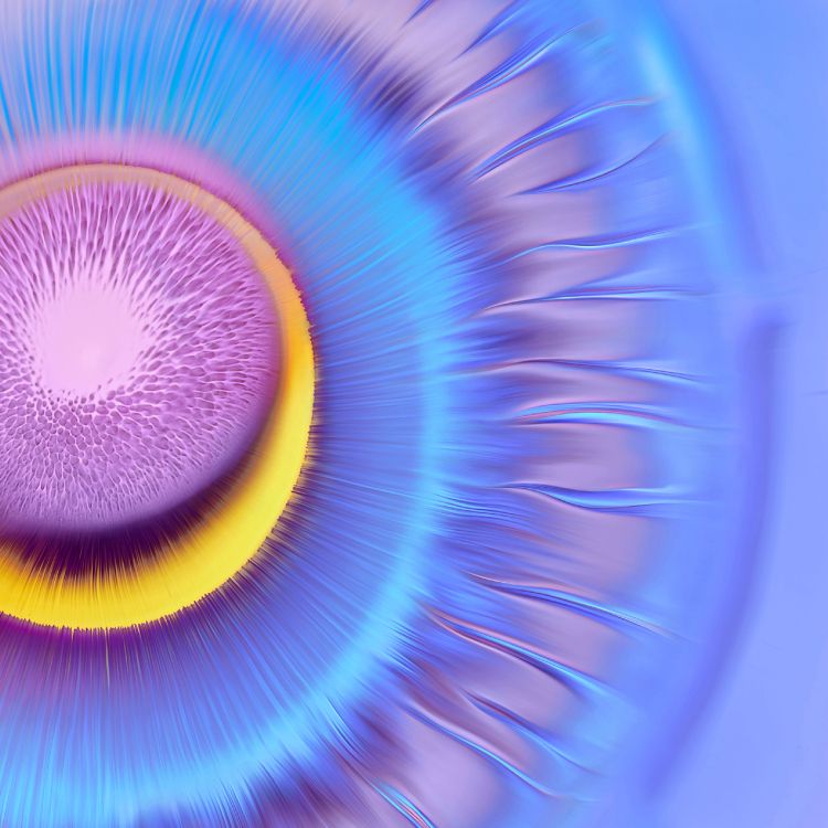 Huawei, Huawei Mate, Huawei Mate 40 Pro, Huawei Mate 30, Huawei Compagnon 40. Wallpaper in 2772x2772 Resolution