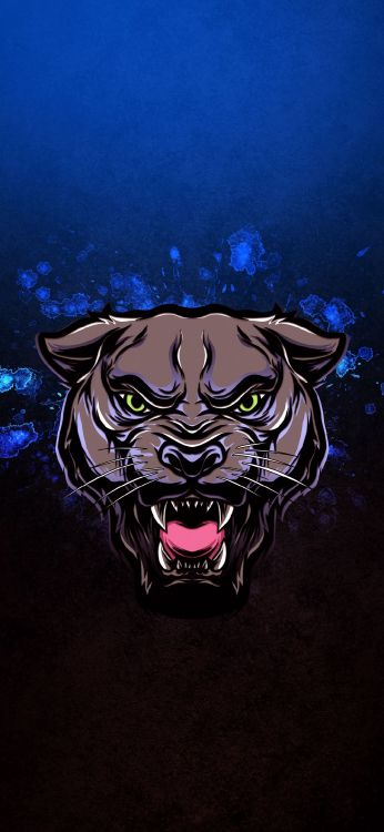 视觉艺术, 人类的身体, 夹钳, 胡子, 猫科 壁纸 1080x2340 允许