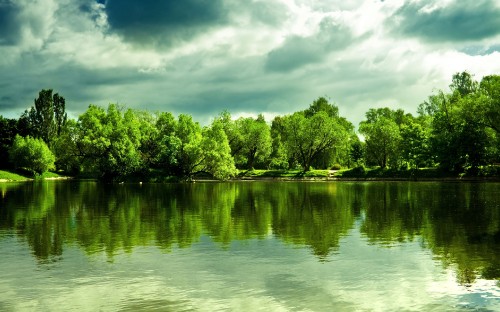 Image green trees beside river under cloudy sky during daytime