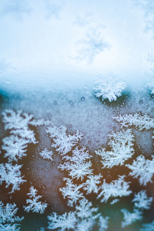 Snowflake, Freezing, Winter, Snow, Frost. Wallpaper in 4000x6000 Resolution