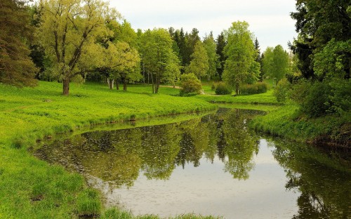 Image green grass field near lake under blue sky during daytime