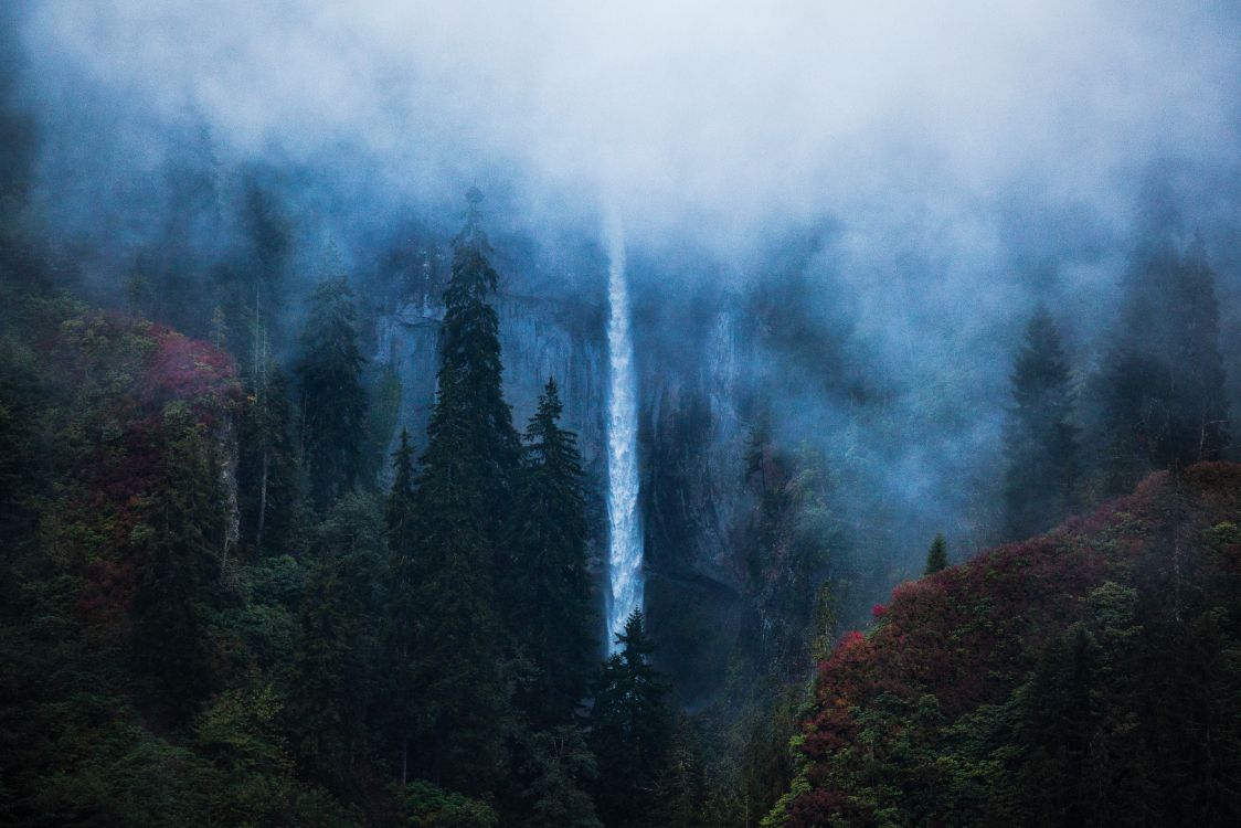 nature, black sea, Karagl, mist, forest