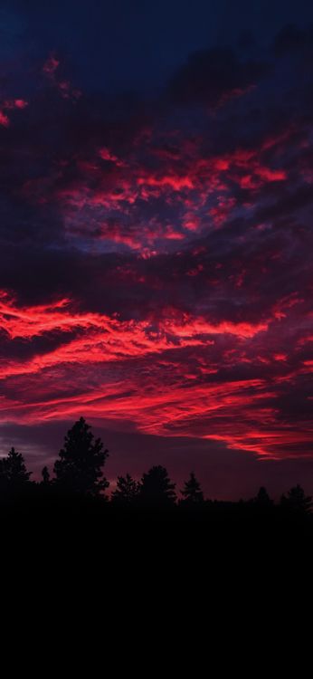 Cloud, Atmosphäre, Afterglow, Naturlandschaft, Sonnenuntergang. Wallpaper in 1080x2340 Resolution