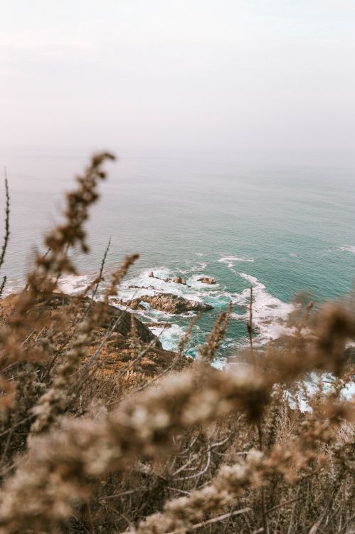 海洋, 海岸, 人体内的水, 植被, 岸边 壁纸 3265x4898 允许