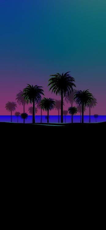 palm trees, Date palm, plant, tree, dusk