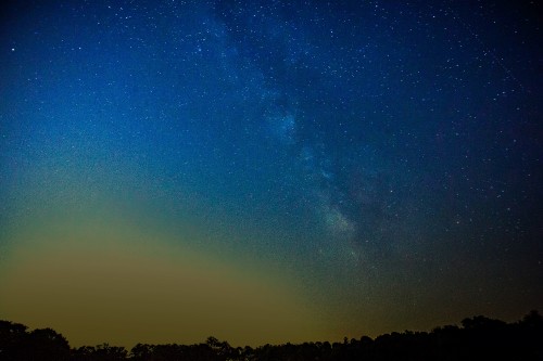 Image silhouette of trees under blue sky during night time