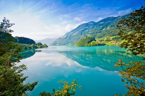 Image green trees near lake under blue sky during daytime