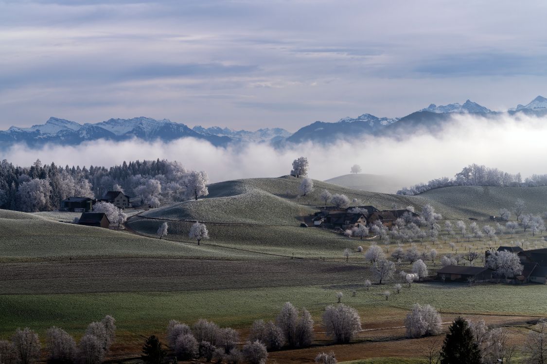 Hochland, Cloud, Naturlandschaft, Baum, Nebel. Wallpaper in 7087x4724 Resolution