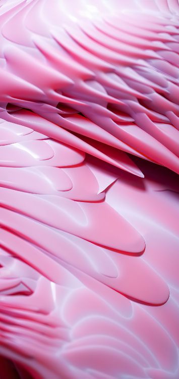 Fermer, Mathématique, Géométrie, Pétale, Capuchon. Wallpaper in 1422x3000 Resolution