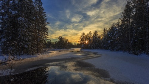 Image snow covered field with trees under blue sky and white clouds during daytime