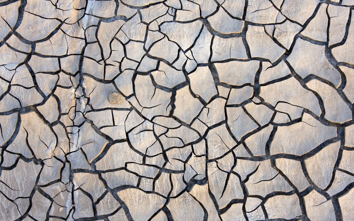 Weißes Und Schwarzes Fischnetz. Wallpaper in 2560x1600 Resolution