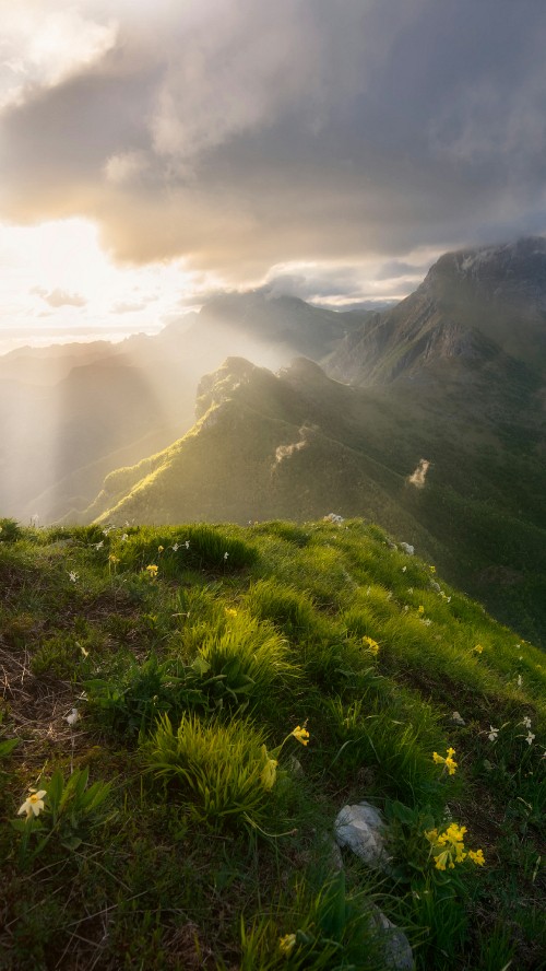 Image highland, cloud, plant, mountain, ecoregion