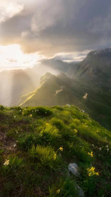 highland, cloud, plant, mountain, ecoregion