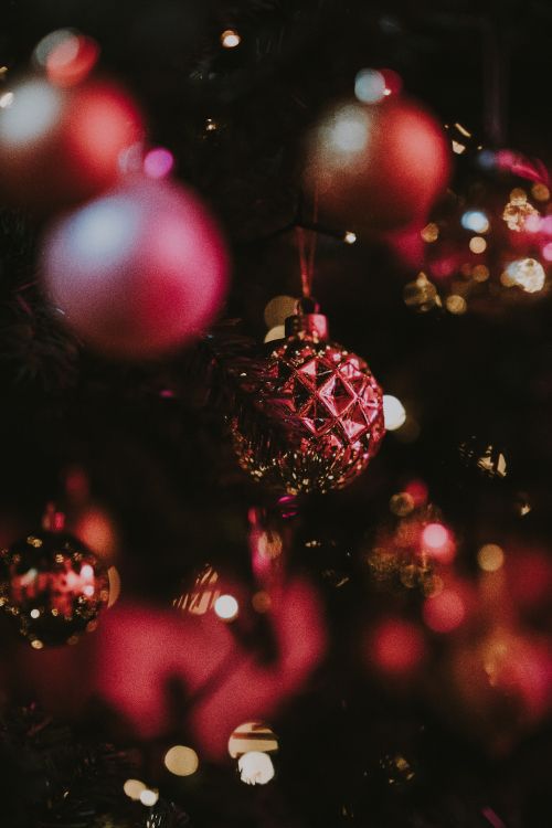 Le Jour De Noël, Ornement de Noël, Ornement, Red, Pink. Wallpaper in 5304x7952 Resolution