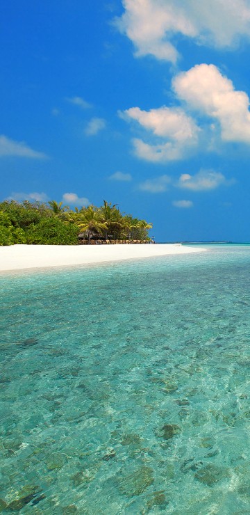 Image green trees on island under blue sky during daytime