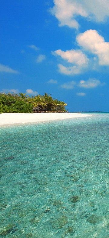 Image green trees on island under blue sky during daytime