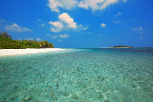 Image green trees on island under blue sky during daytime